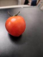 DesiotKel13 project thumbnail
