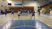 volley project thumbnail