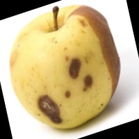 Fruit01 project thumbnail