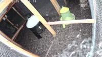 Chicken Coop Detection project thumbnail