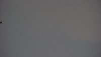 Drone project thumbnail