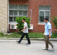 Pedestrian project thumbnail