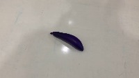 brinjal_1 project thumbnail