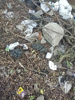 Trash project thumbnail