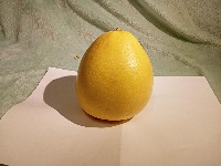 Retail Vegetable dataset  project thumbnail