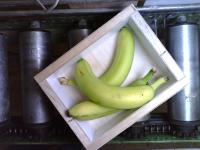 Fruit Sorting project thumbnail