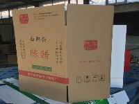 paper_carboard project thumbnail