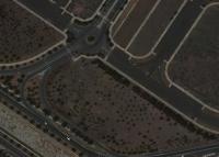 Palm Trees Detector project thumbnail