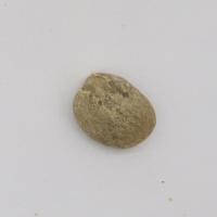 Coffee Beans Defects New Dataset project thumbnail