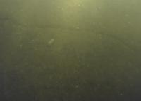 U.-crack_dataset_reduit_dox project thumbnail