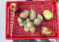 Dataset Image