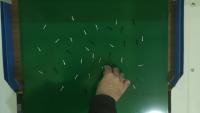 Screws Dataset project thumbnail