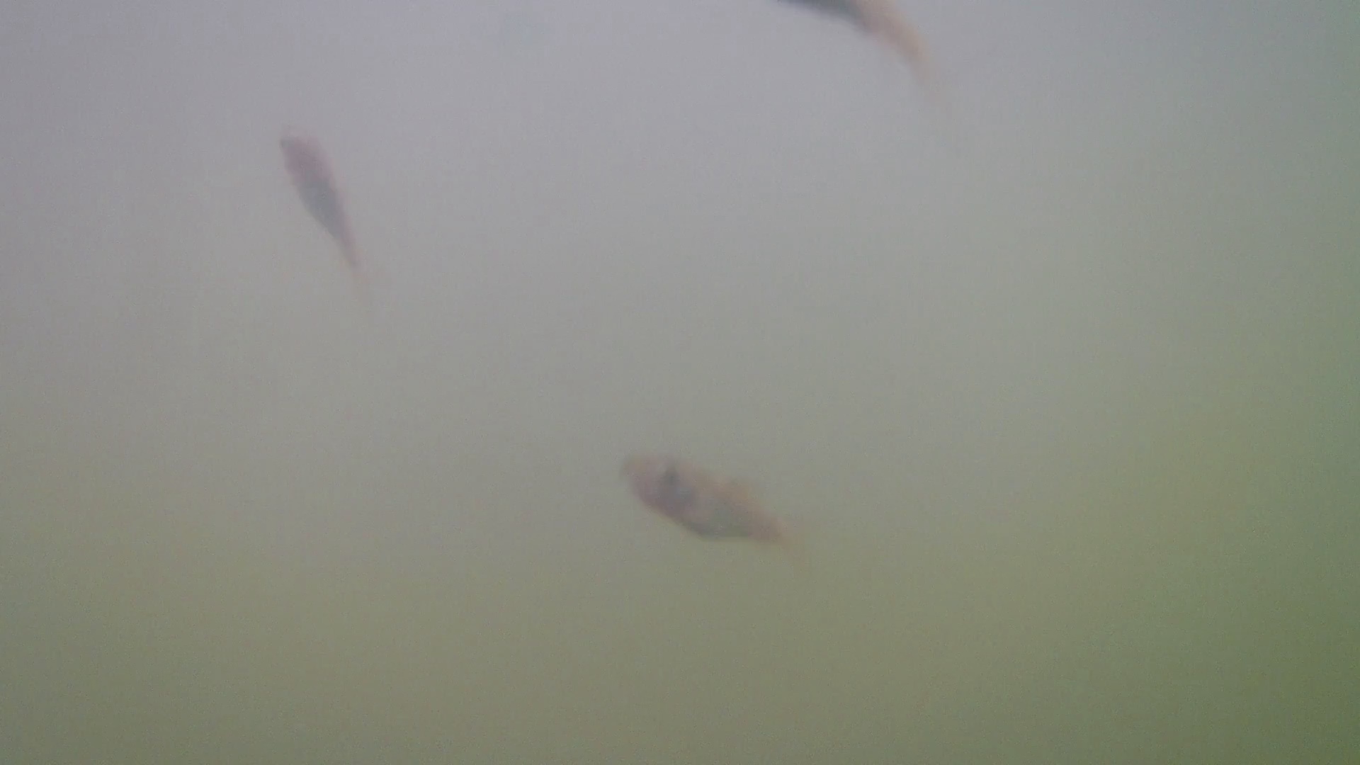 PK_2b Object Detection Dataset by mit