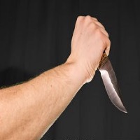 Knife detection Object Detection Model by North
