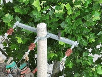 overhead Object Detection Model by yolov10