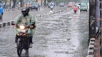 plat nomor  project thumbnail