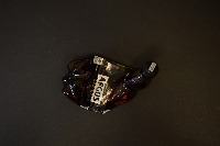 Dataset Image