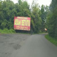 Road Damaged Detection project thumbnail
