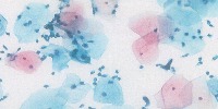 tests_data_augmentation project thumbnail