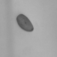Detect_070323 project thumbnail