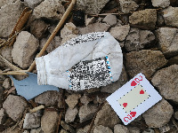 Dataset Image