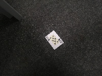 Dataset Image