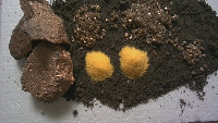 Gold Mining Object project thumbnail