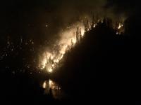 Wildfire dataset(Satellite Img) project thumbnail