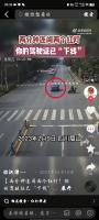 trafficlight project thumbnail
