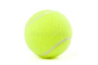 tennis_ball_dataset project thumbnail