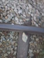 Railway_Object_Dectection_2026 project thumbnail