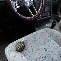 Dataset Image