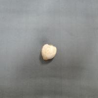Candlenut project thumbnail
