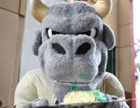 bull project thumbnail