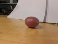 potatoes project thumbnail