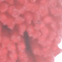 Straw_Counting project thumbnail