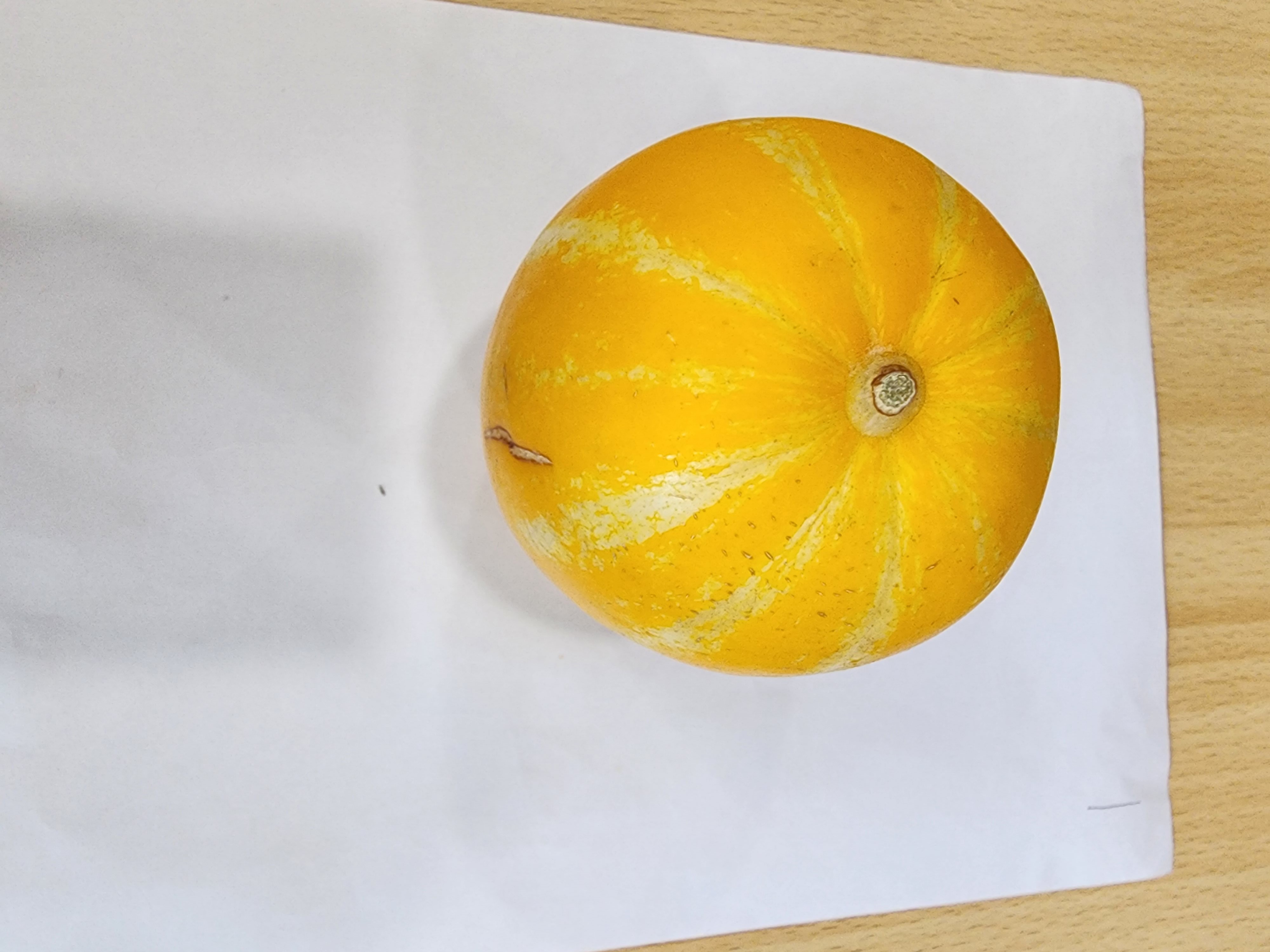 Korean Melon Object Detection Dataset By Dhkim vrogue.co