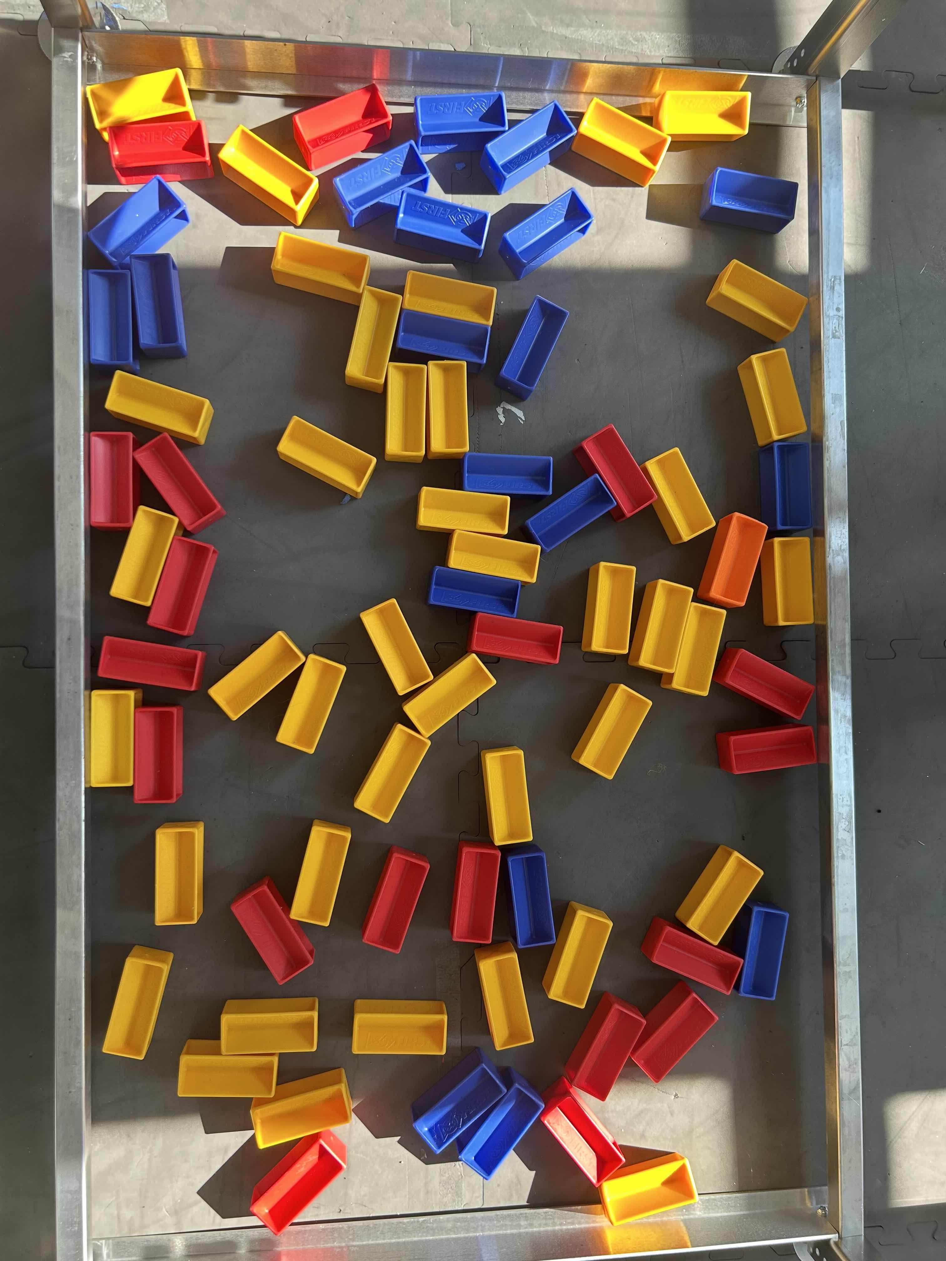 20242025 MSET Cuttlefish Sample Detection 2 - Roboflow Universe