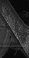 segment_v2 project thumbnail