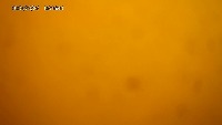 detection project thumbnail