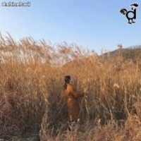 사랑의 불시착 project thumbnail