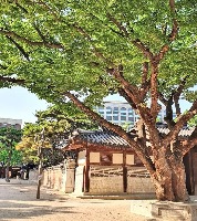 나의 아저씨_보충 project thumbnail