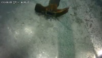 hammer in poor project thumbnail