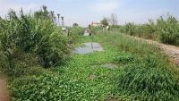 river-3 project thumbnail