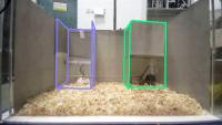 horizontal-light project thumbnail