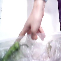 food-waste project thumbnail