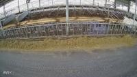 Cows project thumbnail