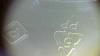 bottom project thumbnail