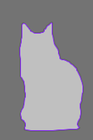 cat-seg Instance Segmentation Dataset by METAJM
