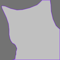cat-seg Instance Segmentation Dataset by METAJM